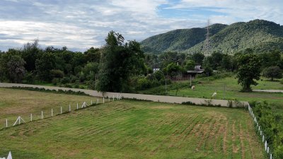 ที่ดินวิวภูเขาล้อม 1 ไร่ 40 ตร.วา 990,000 บาท ฟรีโอน