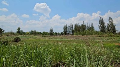 ที่ดินโฉนดพร้อมสิ่งปลูกสร้าง 2 ห้องนอน 1 ห้องน้ำ มีแหล่งน้ำการเกษตร