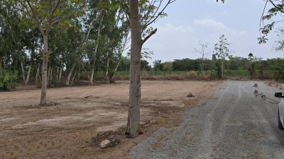 ที่ดินแบ่งขาย โครงการติดถนน 4 เลน ต.จอมบึง อ.จอมบึง จ.ราชบุรี