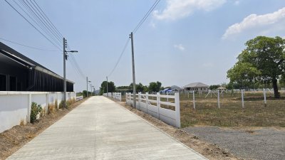 ที่ดินไม่เคยมีประวัติน้ำท่วม ใกล้รพ. ถนนคอนกรีต ต.จอมบึง อ.จอมบึง จ.ราชบุรี