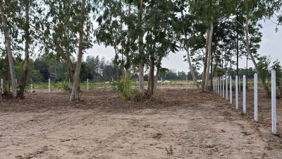 ที่ดินแบ่งขาย โครงการติดถนน 4 เลน ต.จอมบึง อ.จอมบึง จ.ราชบุรี