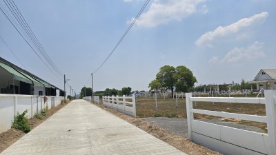 ที่ดินไม่เคยมีประวัติน้ำท่วม ใกล้รพ. ถนนคอนกรีต ต.จอมบึง อ.จอมบึง จ.ราชบุรี