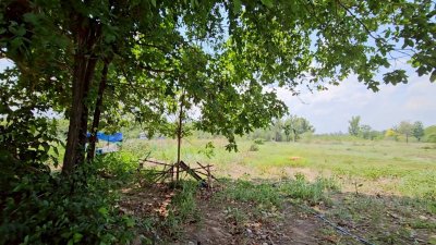 ที่ดินโฉนดพร้อมสิ่งปลูกสร้าง 2 ห้องนอน 1 ห้องน้ำ มีแหล่งน้ำการเกษตร