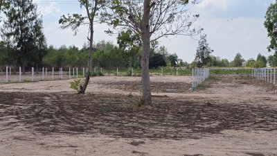 ที่ดินแบ่งขาย โครงการติดถนน 4 เลน ต.จอมบึง อ.จอมบึง จ.ราชบุรี