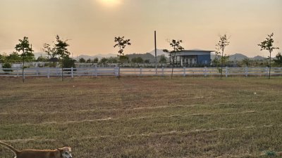 ที่ดินวิวเขา ลักษณะเป็นเนิน พื้นที่น้ำไม่ท่วม