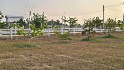 ที่ดินวิวเขา ลักษณะเป็นเนิน พื้นที่น้ำไม่ท่วม