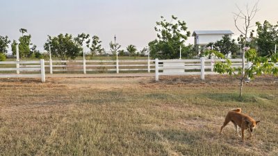 ที่ดินวิวเขา ลักษณะเป็นเนิน พื้นที่น้ำไม่ท่วม