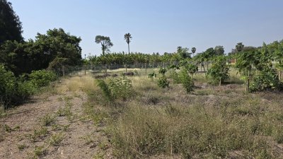 ที่ดินโฉนดติดคลอง 1 ไร่ 600,000 บาท ต.เขาขลุง อ.บ้านโป่ง จ.ราชบุรี