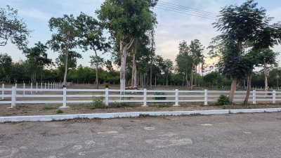 ที่ดิน 2 ไร่ ถนนหน้าแปลงกว้าง 10ม.+ พร้อมไฟฟ้า น้ำประปา ล้อมรั้ว