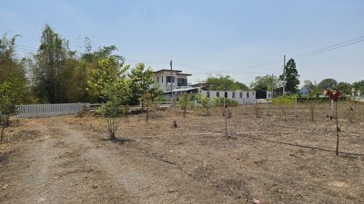 บ้านสวน ปลูกต้นไม้หลากชนิด ต.จอมบึง อ.จอมบึง จ.ราชบุรี