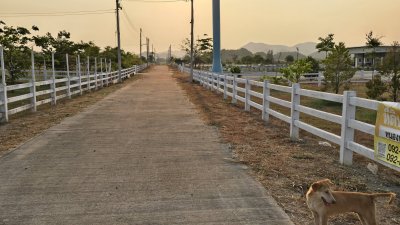 ที่ดินวิวเขา ลักษณะเป็นเนิน พื้นที่น้ำไม่ท่วม