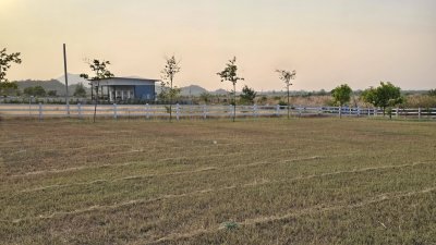 ที่ดินวิวเขา ลักษณะเป็นเนิน พื้นที่น้ำไม่ท่วม