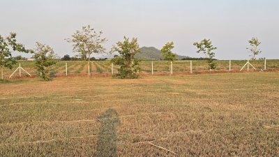 ที่ดินวิวเขา ลักษณะเป็นเนิน พื้นที่น้ำไม่ท่วม