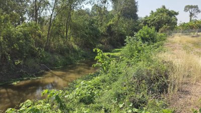 ที่ดินโฉนดติดคลอง 1 ไร่ 600,000 บาท ต.เขาขลุง อ.บ้านโป่ง จ.ราชบุรี