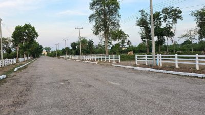 ที่ดิน 2 ไร่ ถนนหน้าแปลงกว้าง 10ม.+ พร้อมไฟฟ้า น้ำประปา ล้อมรั้ว