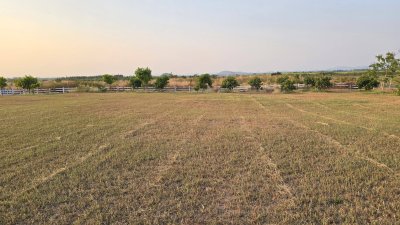 ที่ดินวิวเขา ลักษณะเป็นเนิน พื้นที่น้ำไม่ท่วม