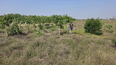 ที่ดินโฉนดติดคลอง 1 ไร่ 600,000 บาท ต.เขาขลุง อ.บ้านโป่ง จ.ราชบุรี