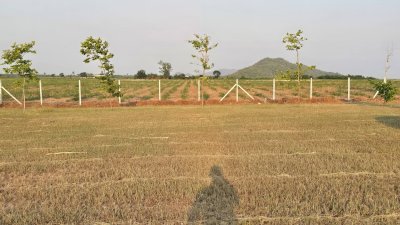 ที่ดินวิวเขา ลักษณะเป็นเนิน พื้นที่น้ำไม่ท่วม