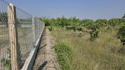 ที่ดินโฉนดติดคลอง 1 ไร่ 600,000 บาท ต.เขาขลุง อ.บ้านโป่ง จ.ราชบุรี