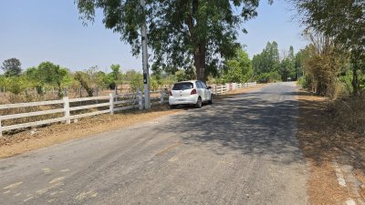 บ้านสวน ปลูกต้นไม้หลากชนิด ต.จอมบึง อ.จอมบึง จ.ราชบุรี