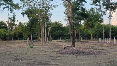 ที่ดิน 2 ไร่ ถนนหน้าแปลงกว้าง 10ม.+ พร้อมไฟฟ้า น้ำประปา ล้อมรั้ว