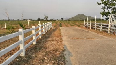 ที่ดินวิวเขา ลักษณะเป็นเนิน พื้นที่น้ำไม่ท่วม