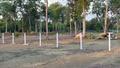 ที่ดิน 2 ไร่ ถนนหน้าแปลงกว้าง 10ม.+ พร้อมไฟฟ้า น้ำประปา ล้อมรั้ว