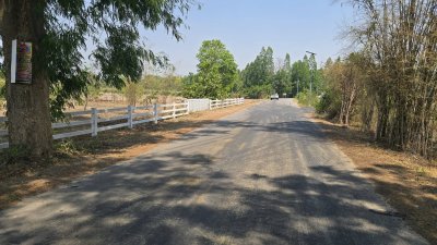 บ้านสวน ปลูกต้นไม้หลากชนิด ต.จอมบึง อ.จอมบึง จ.ราชบุรี