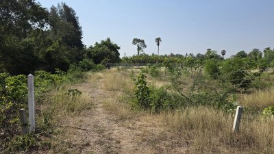 ที่ดินโฉนดติดคลอง 1 ไร่ 600,000 บาท ต.เขาขลุง อ.บ้านโป่ง จ.ราชบุรี