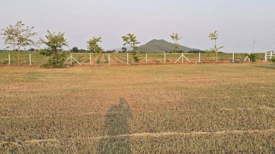 ที่ดินวิวเขา ลักษณะเป็นเนิน พื้นที่น้ำไม่ท่วม