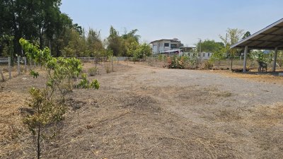 บ้านสวน ปลูกต้นไม้หลากชนิด ต.จอมบึง อ.จอมบึง จ.ราชบุรี