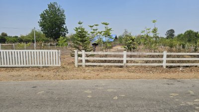 บ้านสวน ปลูกต้นไม้หลากชนิด ต.จอมบึง อ.จอมบึง จ.ราชบุรี