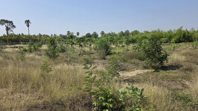 ที่ดินโฉนดติดคลอง 1 ไร่ 600,000 บาท ต.เขาขลุง อ.บ้านโป่ง จ.ราชบุรี