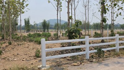 ที่ดินสวนป่าสัก 1 ไร่ 470,000.- อ.ท่าม่วง จ.กาญจนบุรี