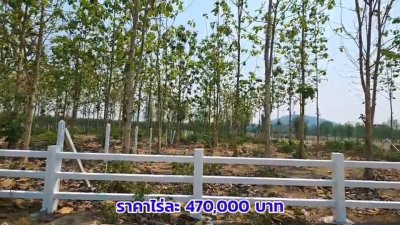 ที่ดินสวนป่าสัก 1 ไร่ 470,000.- อ.ท่าม่วง จ.กาญจนบุรี