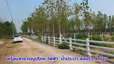 ที่ดินสวนป่าสัก 1 ไร่ 470,000.- อ.ท่าม่วง จ.กาญจนบุรี