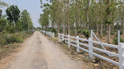 ที่ดินสวนป่าสัก 1 ไร่ 470,000.- อ.ท่าม่วง จ.กาญจนบุรี