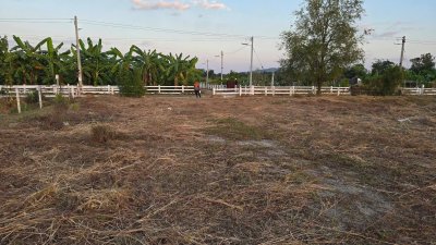 ที่ดิน 1 ไร่ 3 งาน ปรับถม ขุดสระน้ำสำหรับบ้านสวน ขายสด และผ่อนตรงได้ ราคา(สด) 900,000.-