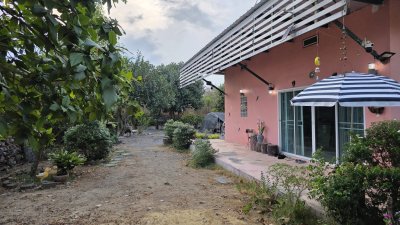 บ้านสวน 200 ตร.วา ใกล้ โรงพยาบาล, 7-11 แค่ 200 เมตร