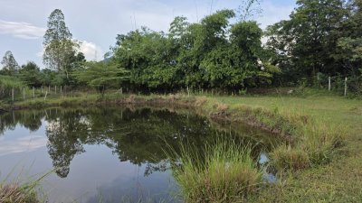 ที่ดินติดห้วย วิวเขา อยู่ในเขตชุมชนหมู่บ้าน มีสระน้ำออก1ลูก ทำเกษตรได้ ที่ดินติดห้วย วิวเขา อยู่ในเขตชุมชนหมู่บ้าน มีสระน้ำออก1ลูก ทำเกษตรได้