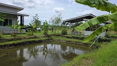 บ้านริมคลองชลประทาน อ.บ้านโป่ง พื้นที่ 2 ไร่ เหมาะกับบ้านสวนเกษตร