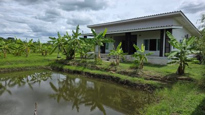 บ้านริมคลองชลประทาน อ.บ้านโป่ง พื้นที่ 2 ไร่ เหมาะกับบ้านสวนเกษตร