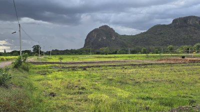 360 ตร.วา ฟรีโอน ไฟฟ้า น้ำประปาหน้าแปลง