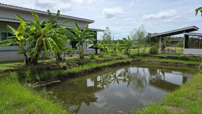 บ้านริมคลองชลประทาน อ.บ้านโป่ง พื้นที่ 2 ไร่ เหมาะกับบ้านสวนเกษตร
