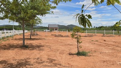 300 ตร.วา 650,000.- ไฟฟ้า น้ำประปา ถนนคอนกรีต