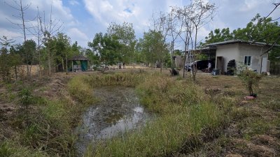 ขายที่ดินพร้อมสิ่งปลูกสร้าง 690,000.- 1 ไร่ 71 ตร.วา ต.รางบัว อ.จอมบึง จ.ราชบุรี