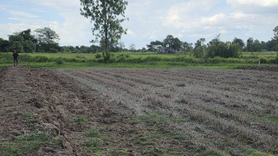 311 ตร.วา ต.เขาแร้ง อ.เมืองราชบุรี จ.ราชบุรี
