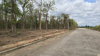 ที่ดินโฉนดสวนไม้สัก 1 ไร่ 850,000.- ต.ปากช่อง อ.จอมบึง จ.ราชบุรี