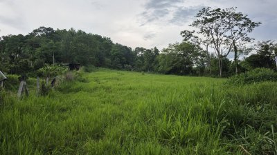 ที่เนินขา เห็นวิวเทือกเขาล้อม ติดถนนลาดยาง ชุมชน ไฟฟ้า น้ำประปา