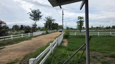 ที่ดินบ้านสวน ปัจจุบันปลูกสวนผสมผสาน 1 ไร่ 3 งาน 59 ตร.วา